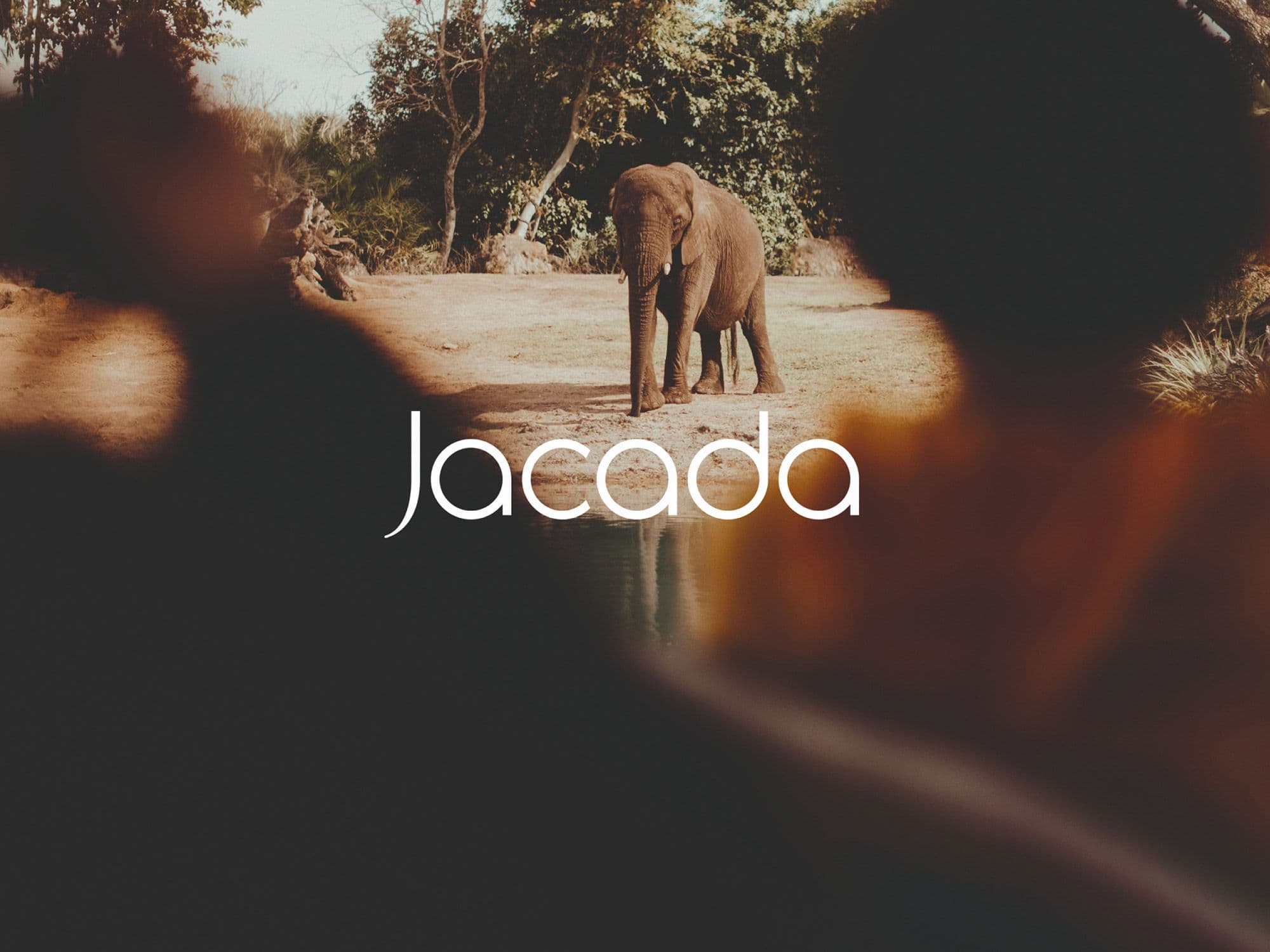 Jacada Travel Brand identity