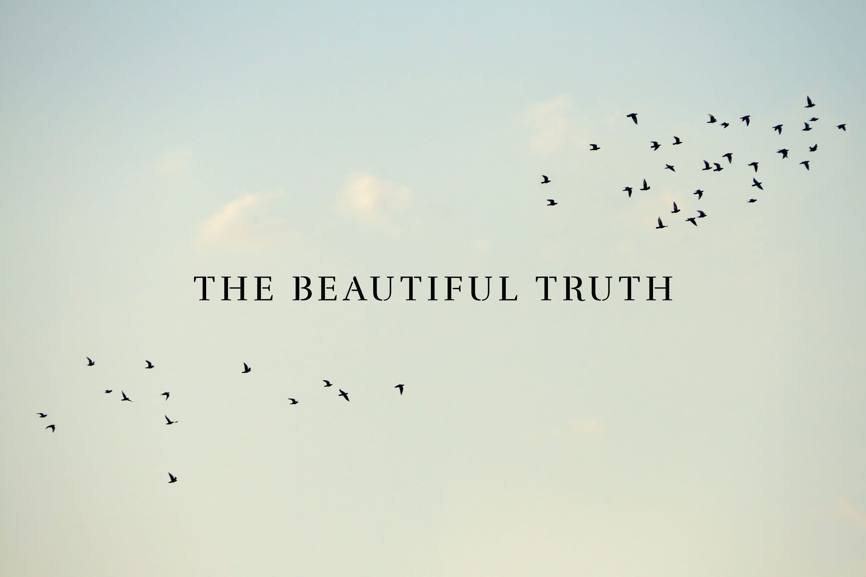 Logo type for The Beautiful Truth applied to an image of a flock of birds
